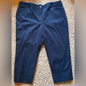 Talbots Blue Pants
